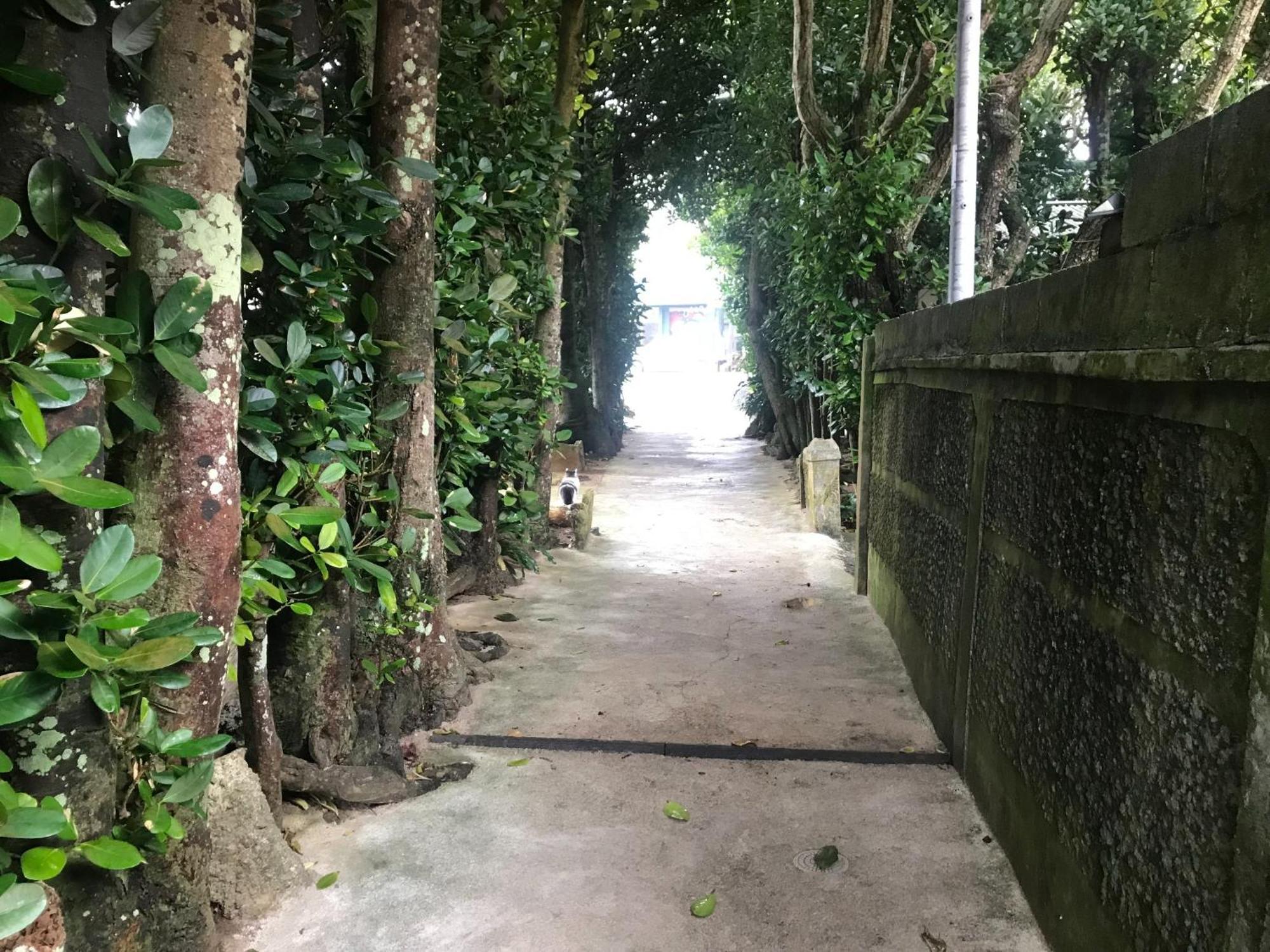 Niruyakanaya Bise - Vacation Stay 36704V Luaran gambar